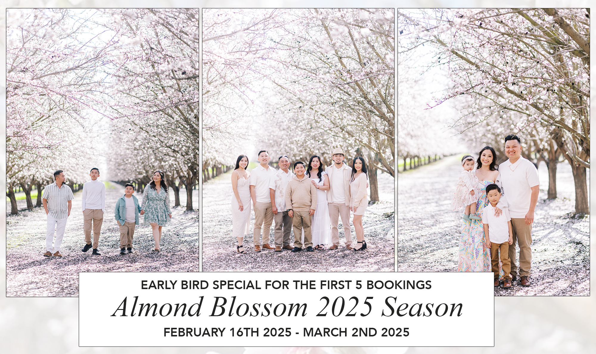 Almond Blossom 2025 Season