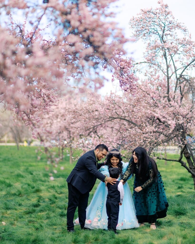 Blossom Season, Almond Blossom, Plum Blossom, White Blossom, Pink Blossom, Spring Season, Flower Season